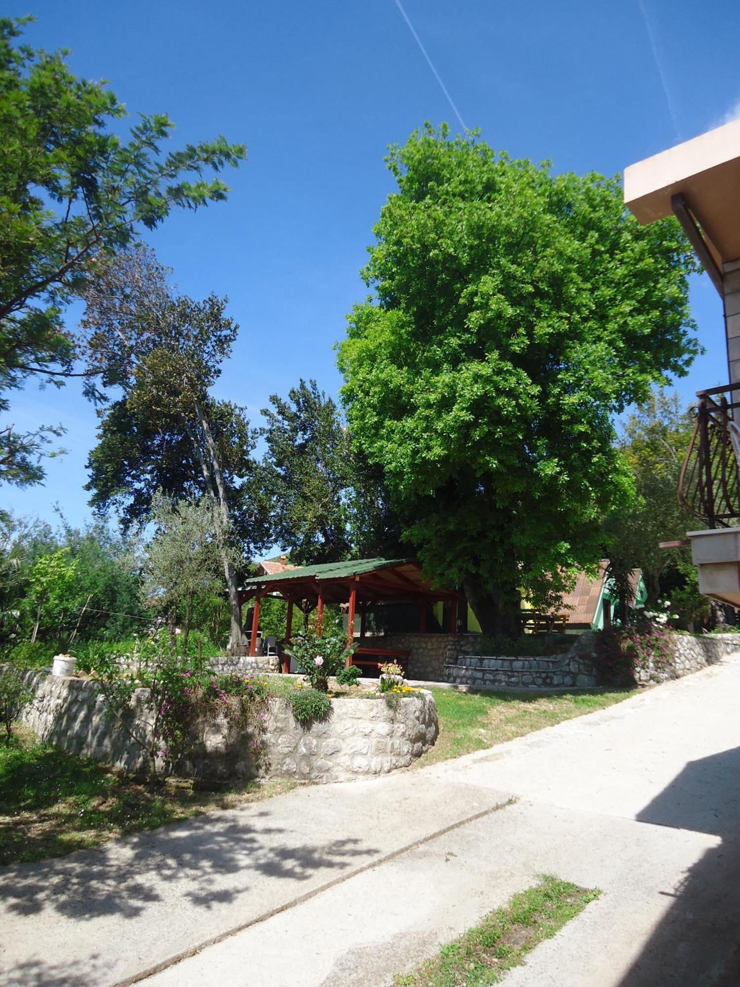 Apartments And Bungalows Mimoza Baosici Herceg Novi Exterior foto