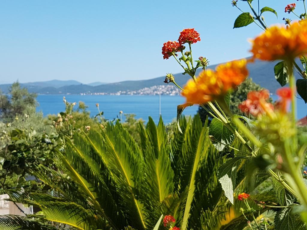 Apartments And Bungalows Mimoza Baosici Herceg Novi Exterior foto