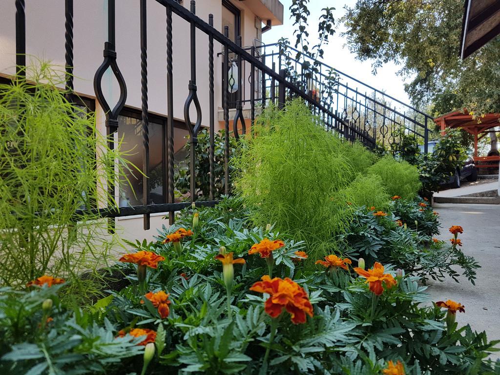 Apartments And Bungalows Mimoza Baosici Herceg Novi Exterior foto